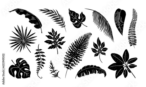 Tropic leaves. Plant leaf silhouette, black palm jungle botanical decor, frond summer pattern, banana and monstera foliage. Rainforest subtropical trees. Creative vector illustration set