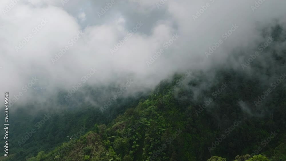 Green forest in the mountains covered with fogs and clouds. Mindanao, Philippines. Environmental concept. Aerial view. Green forest in the mountains covered with fogs and clouds. Mindanao, Philippines. Environmental concept. Aerial view.