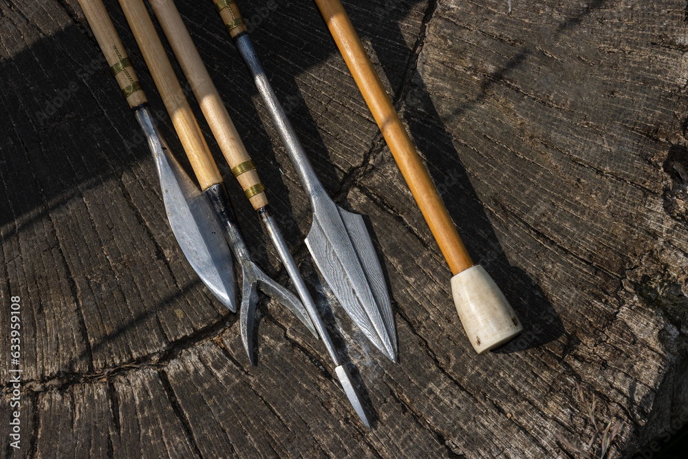 Fototapeta premium Selection of arows with different metal blades from the viking era.