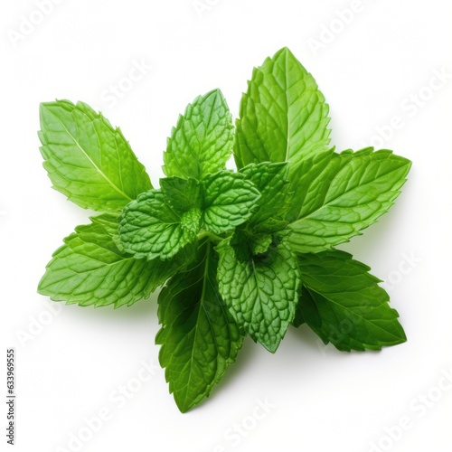 Peppermint on plain white background - product photography