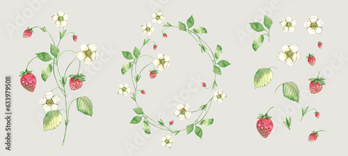 Wild strawberry set. Wreath, berries, flowers, isolated twigs. Watercolor. Floral Botanical illustration. Design for natural cosmetics, summer garden design element.