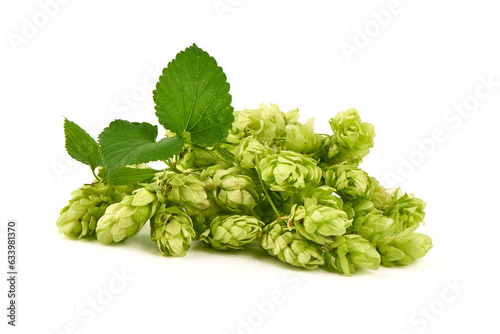 Fresh green hops cones, isolated on white background. photo