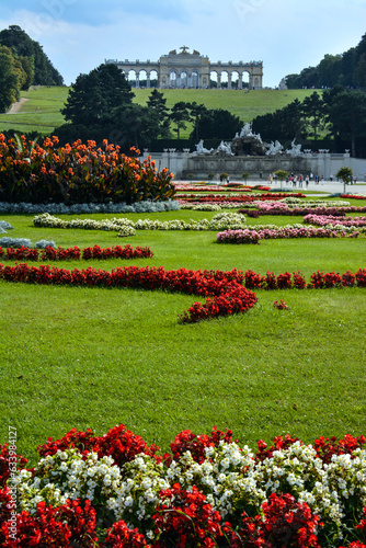 Flowers of Schonbrunn Palace Gardens - Vienna, Austria photo