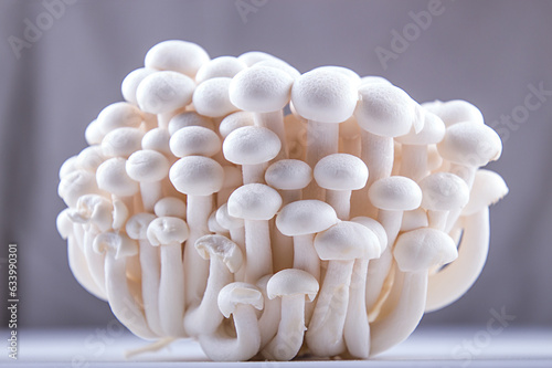 Asian edible mooshrooms shimidzhi on white backdrop. Front view. Healthy eating concept. © twomeerkats