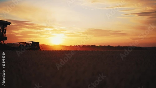 Silhouette of working combine mower cuts collects ripe wheat at sunset. Agricultural harvesting works. Harvester moves on field mows crop. Harvesting, farming, food production agribusiness concept. photo