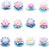 Set of Water Lily Illustration 12 Pictures Per Set