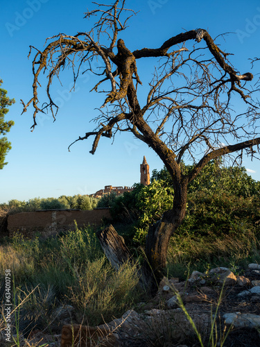 imagen de la iglesia de Belchite detr  s de un   rbol seco en medio de la naturaleza  con el cielo azul