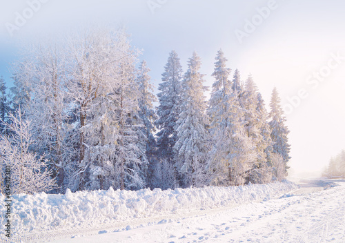 Winter forest covered by snow, morning fog in the background. Road in deep snow.