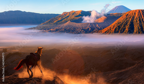 Brown horse at Bromo Tengger Semeru National Park at sunset - East Java, Indonesia