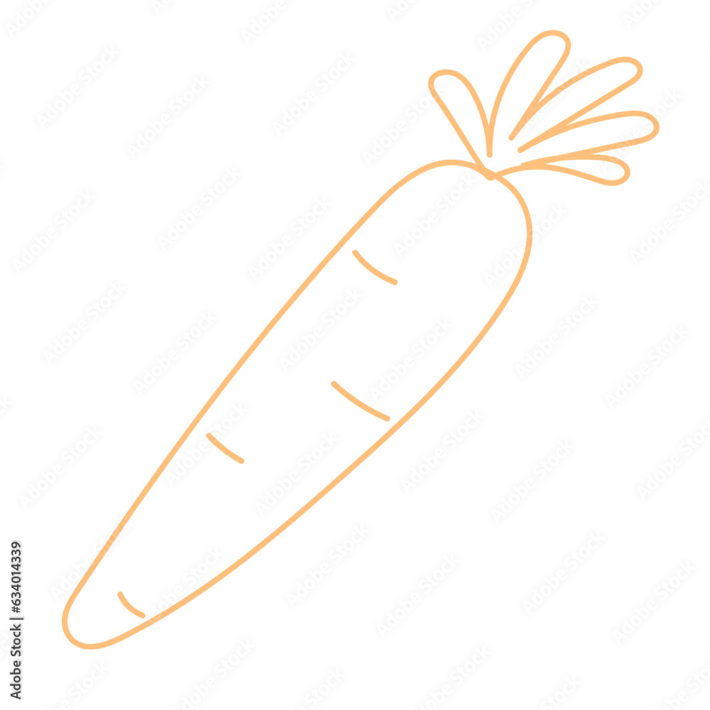 carrot vegetable hand drawing line illustration carrot vegetable hand drawing line illustration
