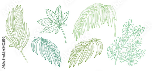 Set of green tropical palm ...