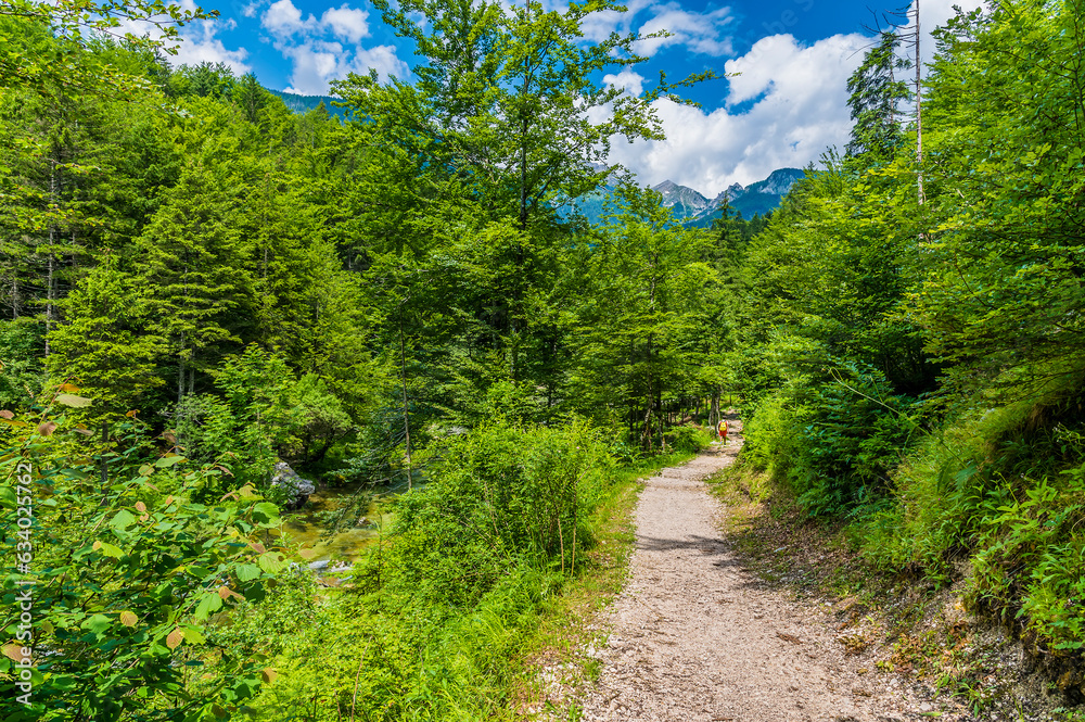 A view along the path above the Mostnica gorge close to lake Bohinj in Slovenia in summertime
