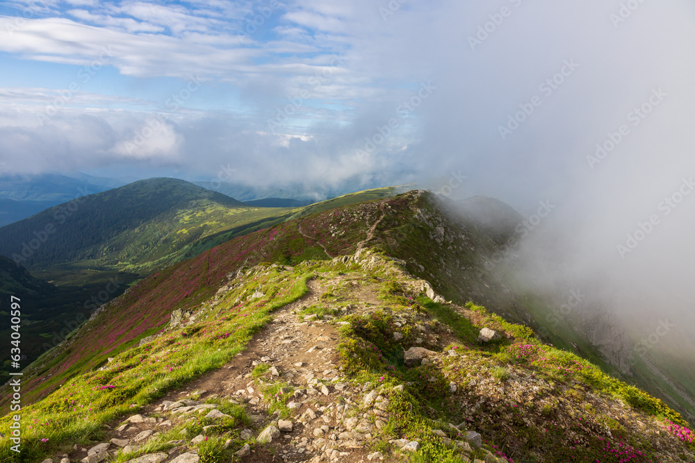 Fototapeta premium Fog and clouds over the slopes of the Carpathians in summer. Ukraine.