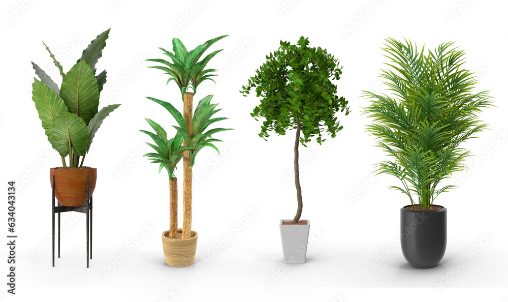 plant in a pot on transparent background plant in a pot on transparent background