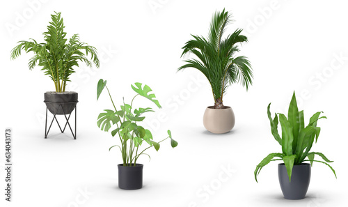 plant in a vase on transparent background