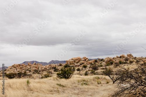 A beautiful landscape with a meadow with dry grass, bushes, large rocks and blue mountains in the background. Scenic American landscape on a cloudy autumn day