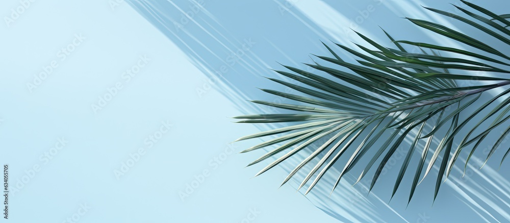 Fototapeta premium Blurred shadow on light blue wall Abstract background for product presentation Spring and summer vibes