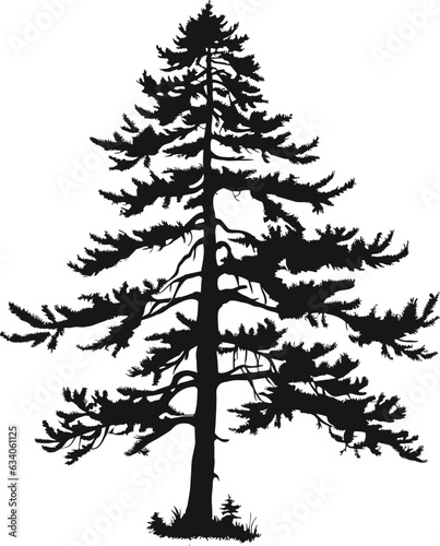 Fototapete tree pine silhouette tattoo, logo cypress tree evergreen, cedar forest wood vector illustration
