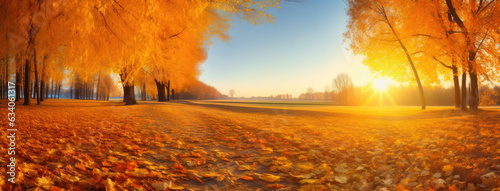 Radiant Fall Colors: A Tapestry of Yellows and Oranges © AIproduction
