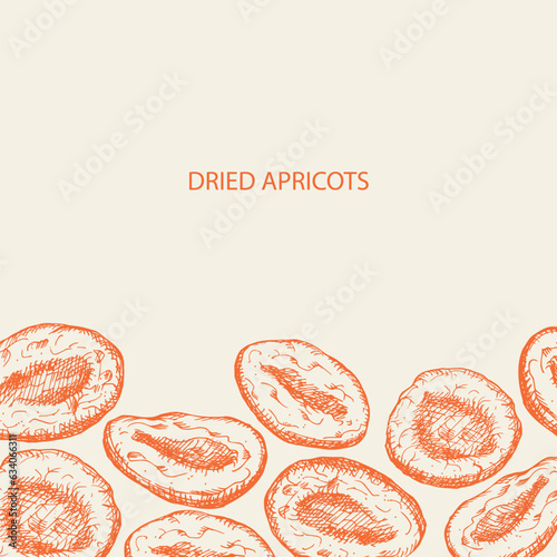 Dried apricots label template background. Hand drawn dry apricot, fresh apricots plant, vector illustration backdrop.Oriental sweets healthy food.For print, label, template, logo, card, design