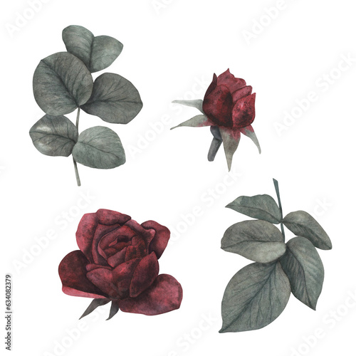 Set gothic rose with leaves magical texture isolated on white background. Watercolor hand drawn botanical sketch iIllustration. Art for design mystical halloween witch decoration, scary greeting card