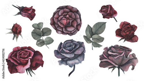 Set gothic rose with leaves magical texture isolated on white background. Watercolor hand drawn botanical sketch iIllustration. Art for design mystical halloween witch decoration, scary greeting card