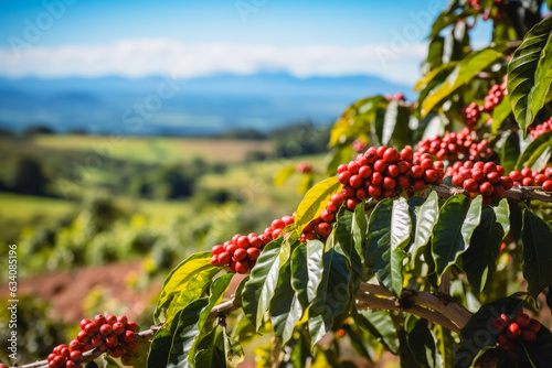 Blurred Coffee Plantation Overlooking Majestic Mountains for background photo