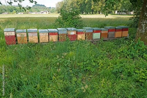 Bienenkästen © horst jürgen schunk