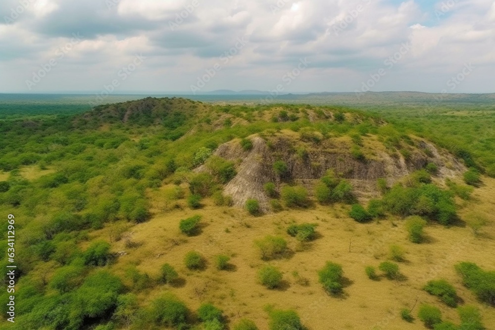Obraz premium Panoramic view of wild reserves from drone. Stunning bird's eye perspective. Generative AI