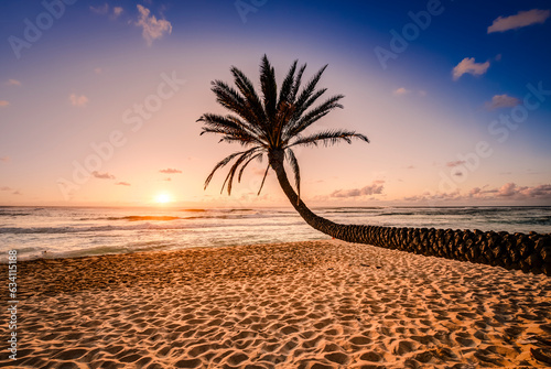 Fototapeta Naklejka Na Ścianę i Meble -  Palm tree leaning toward the sunset