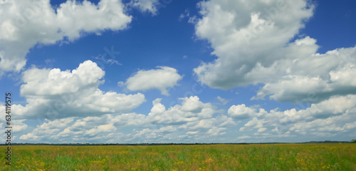 grass field grass and sky background Skyline panorama 3D illustration
