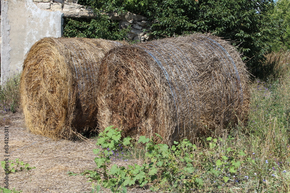 A pair of hay bales in a field A pair of hay bales in a field
