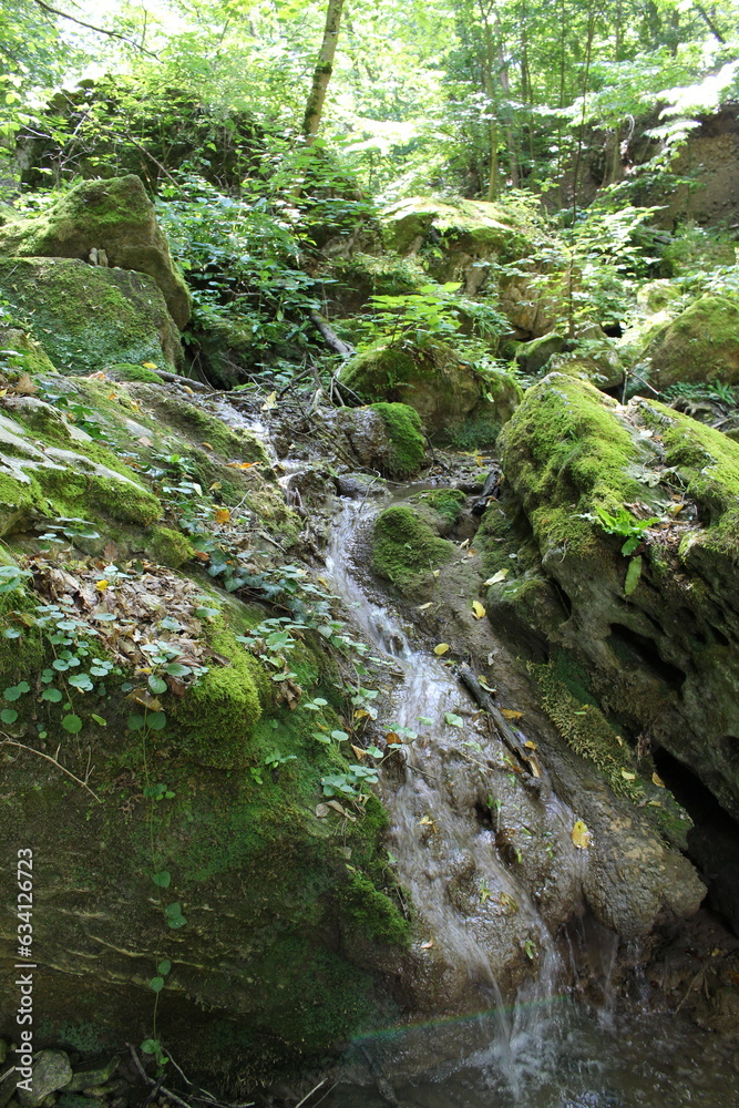 A stream flowing through a rocky area A stream flowing through a rocky area