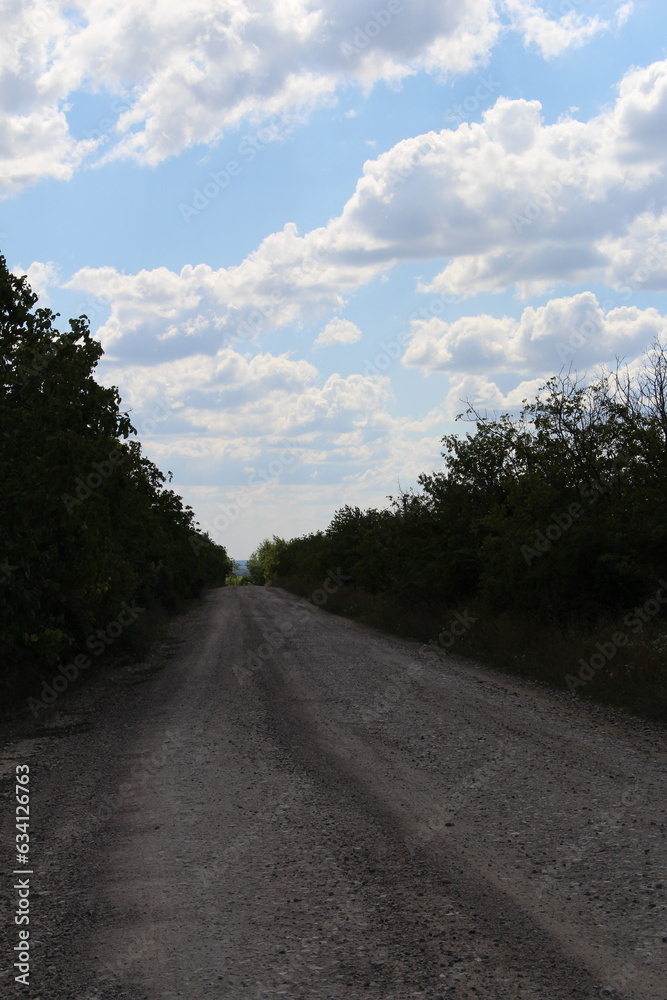 Fototapeta premium A dirt road with trees and clouds in the sky