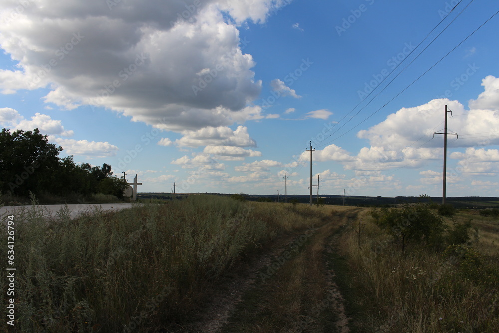 A dirt road with tall grass and power lines