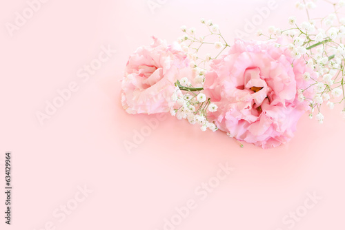 Fototapeta Naklejka Na Ścianę i Meble -  Top view image of delicate pink flowers over pastel background