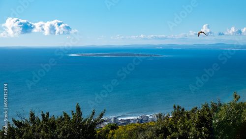 Garden Route Road Trip South Africa