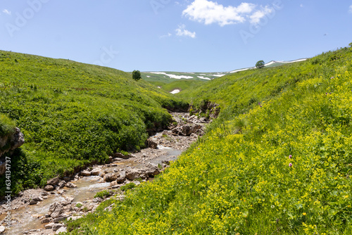 the beginning of summer, mountain river, walking along the canyon, hiking trails and recreation in the mountains.