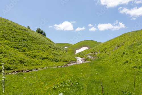 Wallpaper Mural the beginning of summer, mountain river, walking along the canyon, hiking trails and recreation in the mountains. Torontodigital.ca