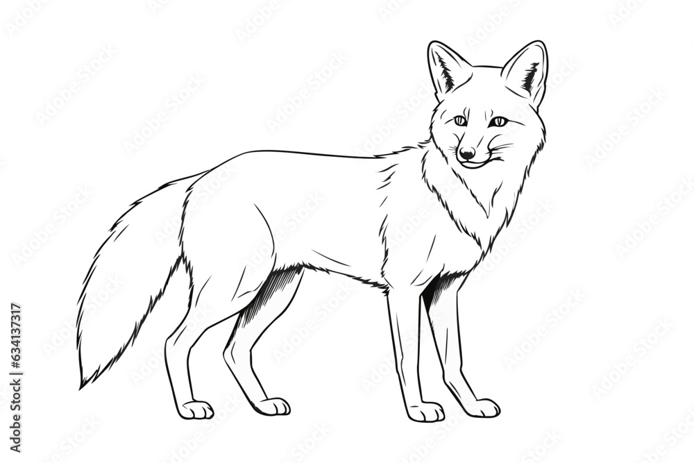 Obraz premium Fox pencil drawing coloring book. Vector illustration