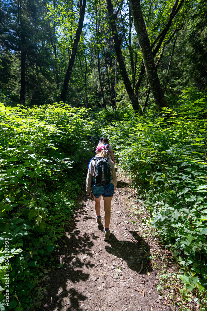 Hikers on Shi Shi Beach Trail in Olympic National Park near Neah Bay, Washington on sunny summer afternoon. Hikers on Shi Shi Beach Trail in Olympic National Park near Neah Bay, Washington on sunny summer afternoon.