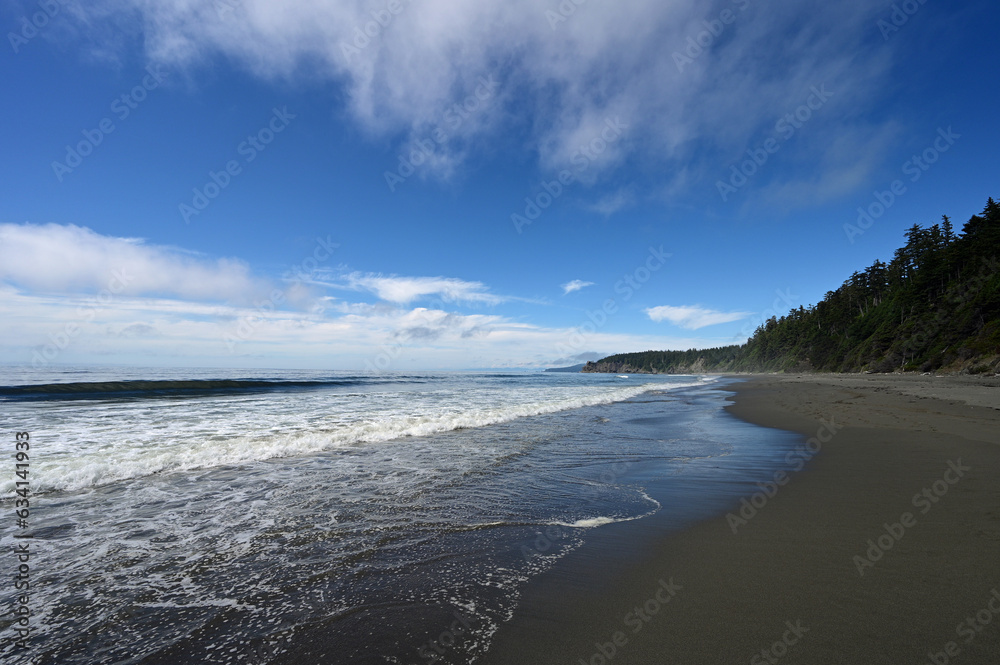 Shi Shi Beach and seashore in Olympic National Park, Washington on sunny summer afternoon.