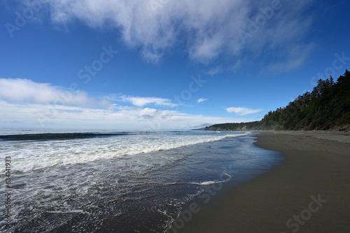 Shi Shi Beach and seashore in Olympic National Park, Washington on sunny summer afternoon.