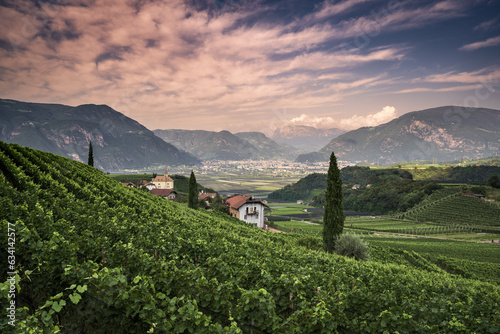 Eppan landscape near Bolzano in South Tyrol, Italy, Europe. © pawelgegotek1