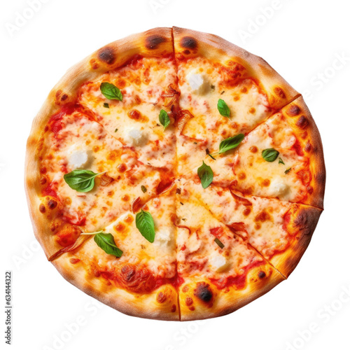 Pizza Margherita with Tomat...