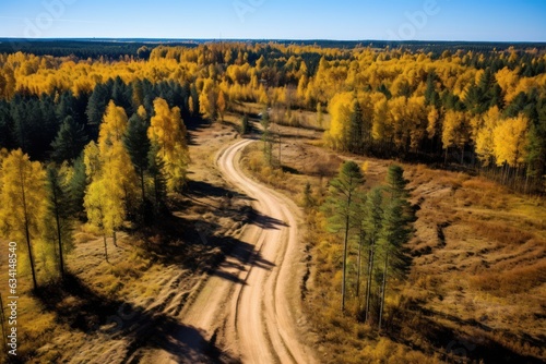 Aerial view of winding dirt road and autumn forest.