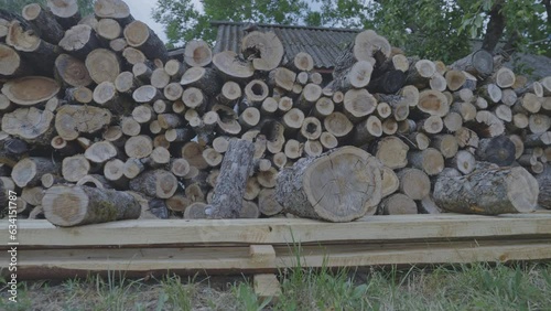 Freshly sawn prepared for winter timber of different shapes lies in garden. Freshly chopped firewood lie on ground in cottage yard photo