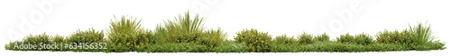 Evergreen Grass field and Yellow flower in nature, Flowres on garden in springtime, Tropical forest isolated on transparent background - PNG file, 3D rendering illustration
