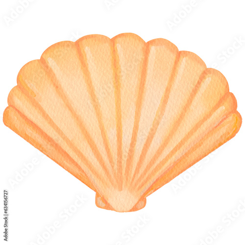 Watercolor orange shell with paper texture.