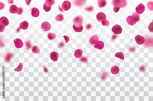 Vector realistic seamless border with fallig pink rose petals on transparent background